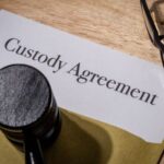 _Custody _Custody